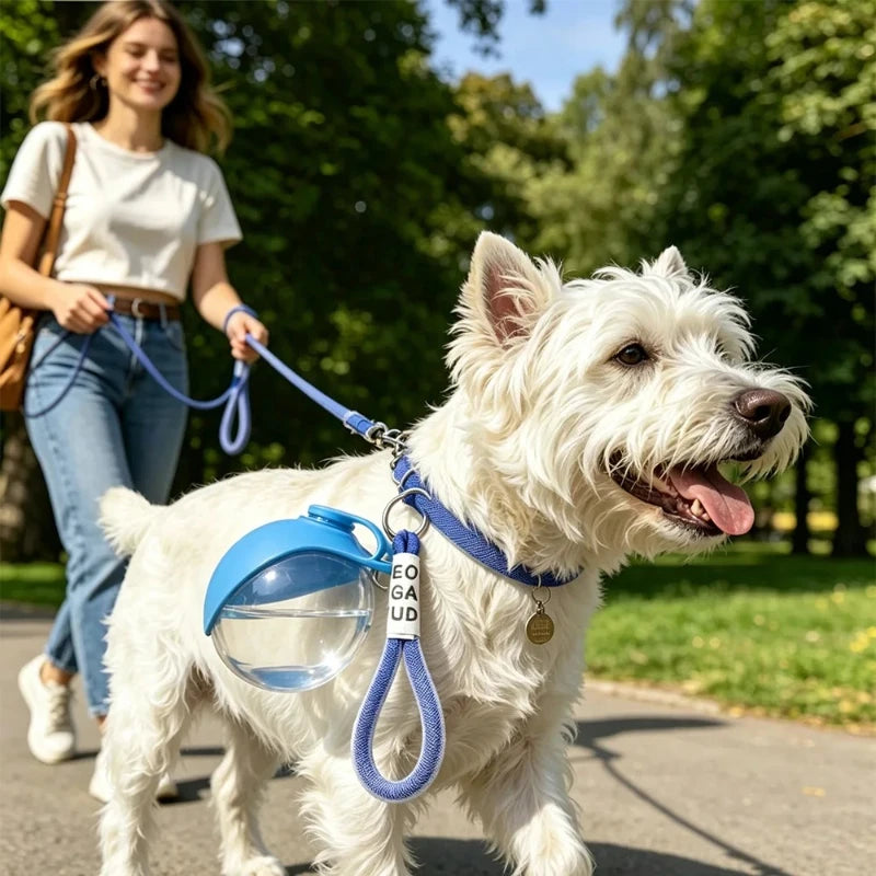 Plastic Dogs Cat Drinking Bottle with Lanyard Outdoor Foldable Water Dispensers Leak-proof Compact Travel Pet Water Bottle