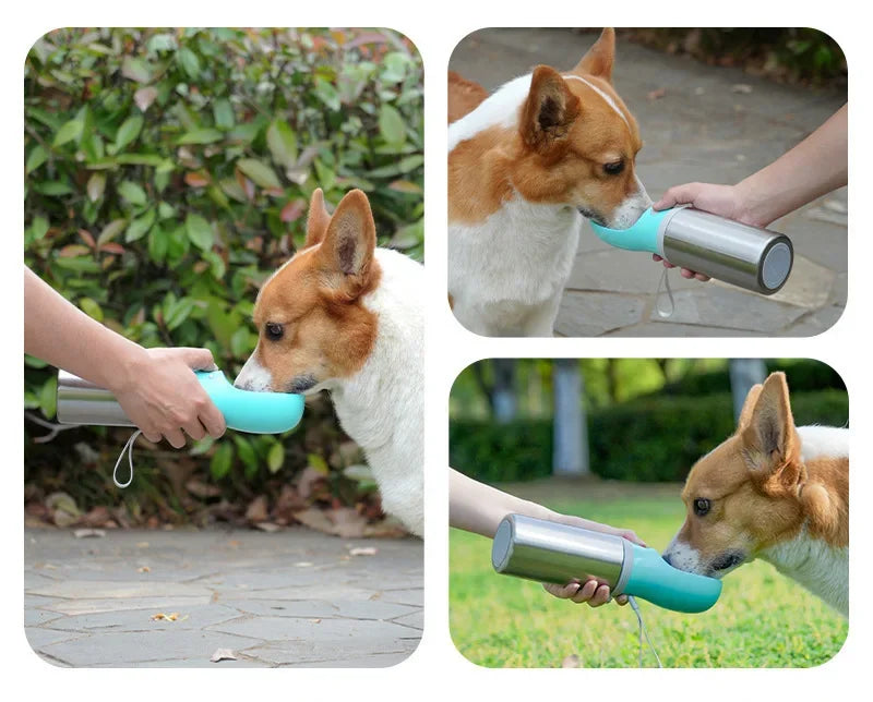 Double-layer 304 Stainless Steel Pet Thermos Cup, Outdoor Portable Water Bottle for Cats and Dogs
